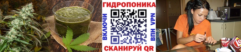 Cannafood конопля  Змеиногорск 
