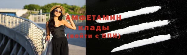 прущие грибы Приозерск