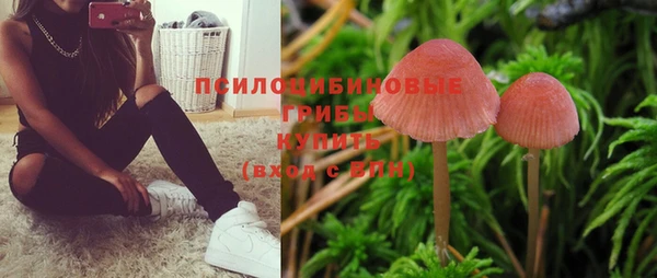 mdpv Абдулино